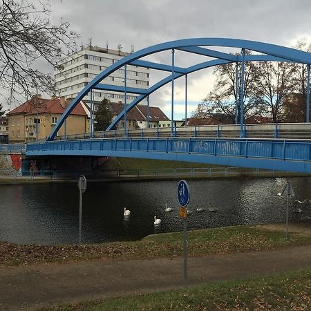 Penzion- Leslav チェスケー・ブジェヨヴィツェ エクステリア 写真