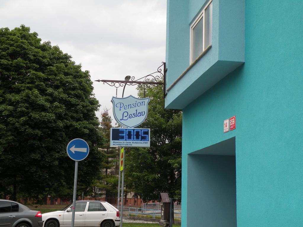 Penzion- Leslav チェスケー・ブジェヨヴィツェ エクステリア 写真