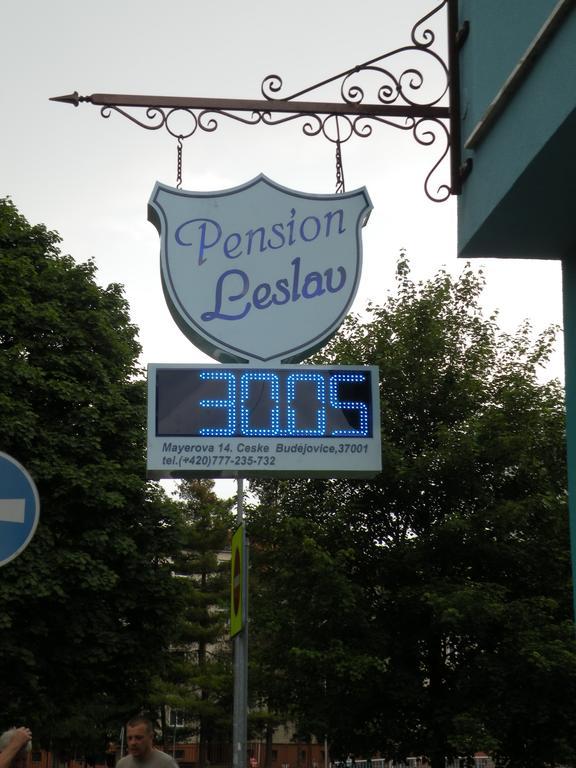 Penzion- Leslav チェスケー・ブジェヨヴィツェ エクステリア 写真