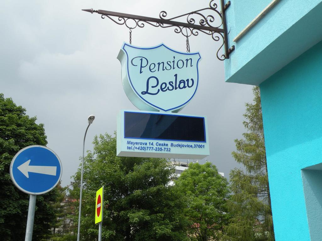 Penzion- Leslav チェスケー・ブジェヨヴィツェ エクステリア 写真