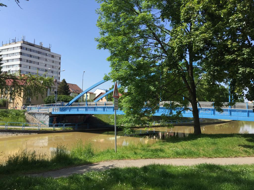 Penzion- Leslav チェスケー・ブジェヨヴィツェ エクステリア 写真
