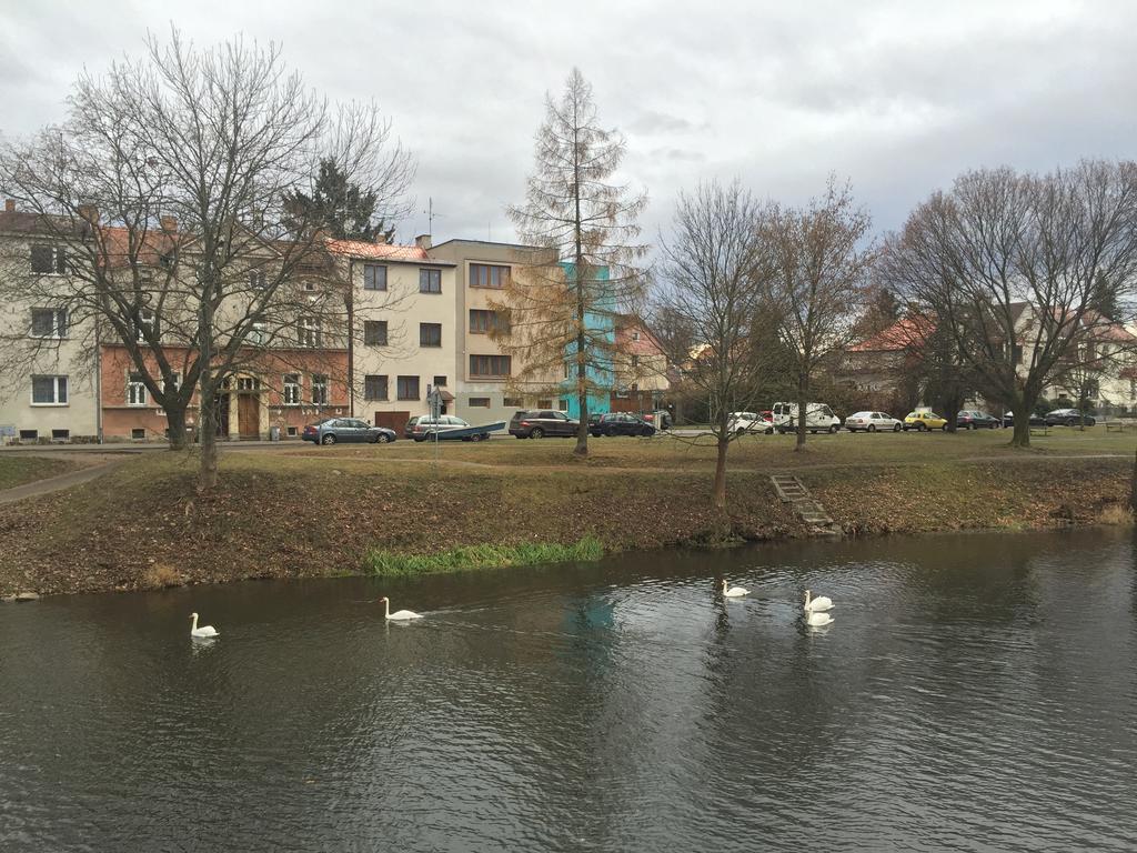 Penzion- Leslav チェスケー・ブジェヨヴィツェ エクステリア 写真